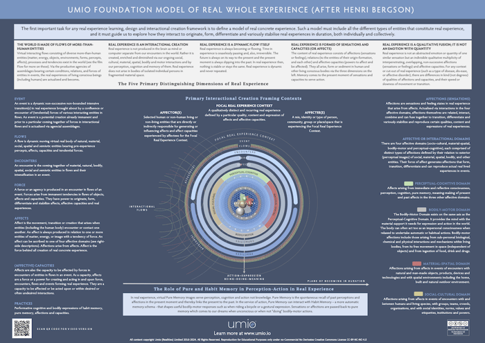 INFOGRAPHIC: Umio Foundation Model of Real Whole Experience image